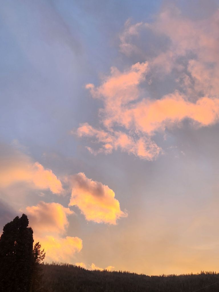 20260225_1730162044629464660890922